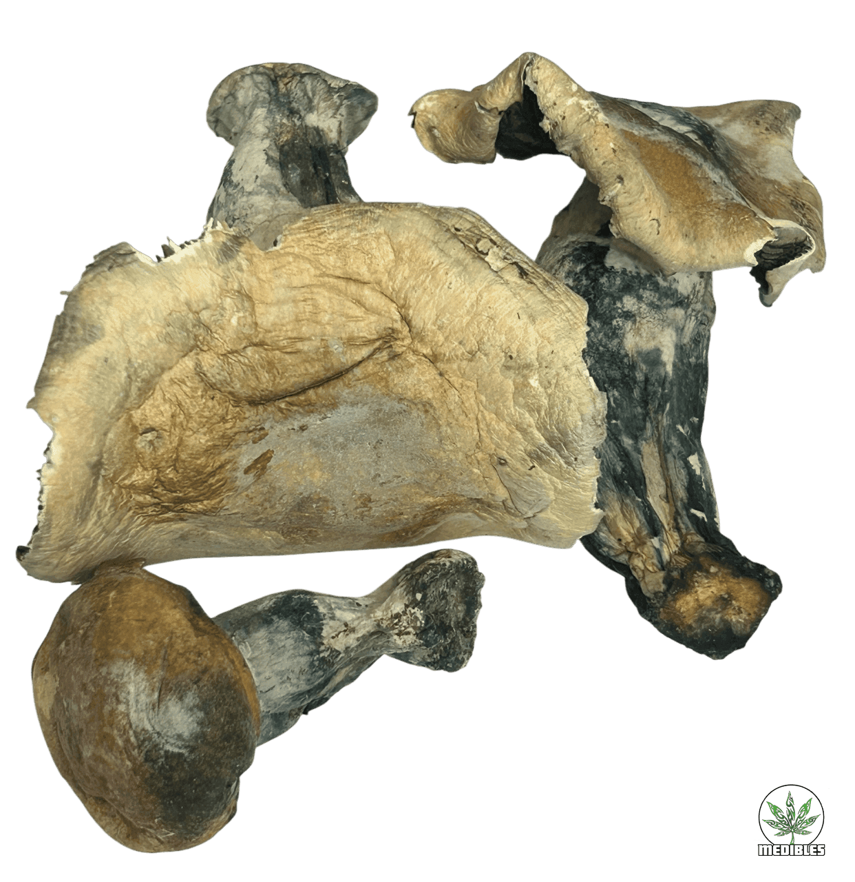 OG Melmac Magic Mushrooms $5/G - Mohawk Medibles
