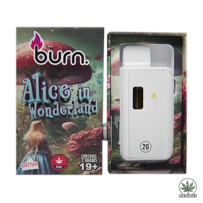 Burn 2G Disposable THC Vape — premium brands at Mohawk Medibles Canada